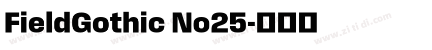 FieldGothic No25字体转换